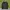 Oakley Streetwear Casual T-shirt Pria black photo 1