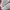 Adidas Streetwear Casual Sneakers Wanita white pink photo 2