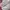 Onitsuka Tiger Streetwear Casual Sneakers Wanita pink cream photo 2