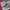 New Balance Streetwear Casual Sneakers Pria silver white photo 2