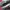 Nike Sportswear Casual Sneakers Pria white gray photo 2