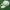 New Era Streetwear Casual Hat Pria white photo 2