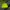 Under Armour Sportswear Hat Pria green photo 5