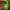 Under Armour Sportswear Hat Pria green photo 4