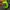Under Armour Sportswear Hat Pria green photo 3