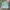 Daisy Lovers Y2K Track jacket Wanita multicolor photo 1