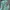 Daisy Lovers Y2K Track jacket Wanita multicolor photo 4
