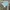 Daisy Lovers Y2K Track jacket Wanita multicolor photo 5