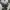 Vintage Biker Bomber jacket Pria gray photo 2