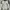 Vintage Biker Bomber jacket Pria gray photo 1