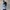 Avant Garde Sweatshirt Pria black blue photo 1