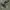 New Balance Casual Casual shoe Pria gray photo 2