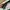Y2K Minimalist Bags & purse Wanita white pink photo 6