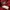 Giordano Sportswear Sweatshirt Pria burgundy photo 3