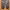 Uniqlo Streetwear Gorpcore Tracksuit Pria navy photo 2