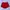 Adidas Vintage Short Pria red photo 5