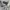 Dickies Streetwear Short Pria gray photo 4