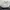 Lacoste Casual Sneakers Pria white photo 4