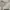 Alexander Wang Coquette Bomber jacket Wanita white photo 6