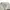 Alexander Wang Coquette Bomber jacket Wanita white photo 3