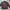 Converse Biker Casual Casual shirt Pria multicolor red photo 2
