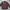 Converse Biker Casual Casual Shirt Pria Multicolor Red