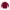 Adidas Y2K Sportswear Track jacket Pria white red photo 2