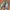 True Religion Streetwear Emo Jeans Pria multicolor photo 3