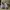 Nike Air Jordan Vintage Y2K Sneakers Pria white gray photo 3