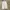 Streetwear Sportswear Sweatpants & Joggers Pria gray photo 8