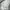 Streetwear Sportswear Sweatpants & Joggers Pria gray photo 7