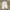 Streetwear Sportswear Sweatpants & Joggers Pria gray photo 5