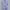 Planet Hollywood Streetwear T-shirt Pria blue photo 1