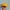Vintage Hat Pria Yellow