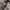 John ownbey m65 field jacket Small photo 4