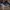 Converse Sportswear Casual Sneakers Pria white black photo 1