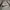 Nike Streetwear Sweatshirt Pria gray photo 2