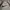 Nike Streetwear Sweatshirt Pria Gray