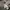 Nike Streetwear Sweatshirt Pria gray photo 6