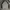 Nike Streetwear Sweatshirt Pria gray photo 4
