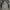 Nike Streetwear Sweatshirt Pria gray photo 1