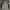 Nike Streetwear Sweatshirt Pria Gray
