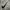 Nike Streetwear Sweatshirt Pria gray photo 3