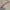VANS Y2K Skater Hoody Pria gray photo 3