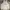 VANS Y2K Skater Hoody Pria Gray