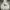 Stussy Streetwear Skater Hoody Pria multicolor photo 1