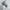 Stussy Streetwear Skater Hoody Pria multicolor photo 2