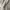Nike Streetwear Sportswear Hoody Pria gray photo 5