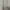 Nike Streetwear Sportswear Hoody Pria Gray
