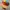 Gramicci Streetwear Sportswear Hat Pria multicolor photo 1